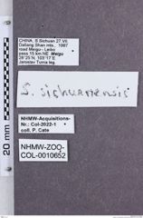 Etikette zu Sinophotistus sichuanensis (NHMW-ZOO-COL-0010652)